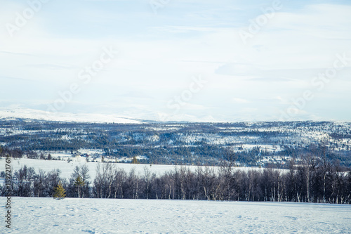 A beautiful forest landscape of a snowy Norwegian winter day