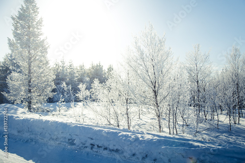 A beautiful forest landscape of a snowy Norwegian winter day © dachux21