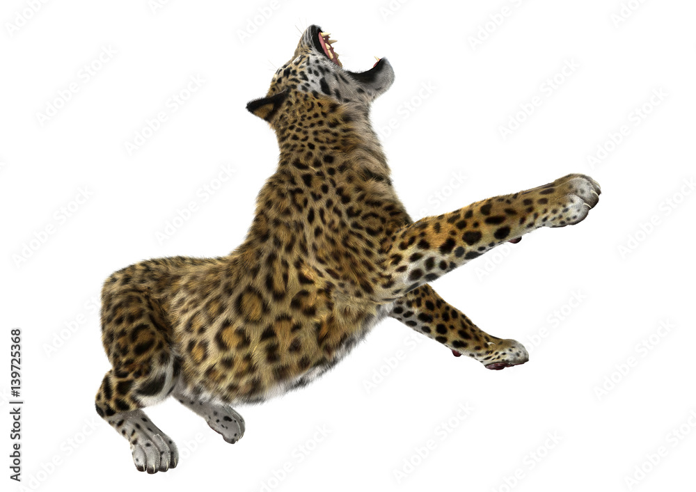 Naklejka premium 3D Rendering Big Cat Jaguar on White