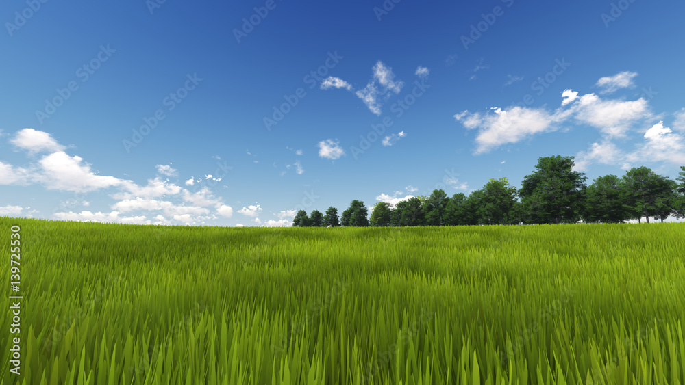 Panoramic Green Grass with cloud and the blue sky. 3d render