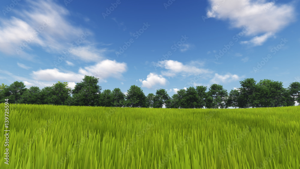 Fototapeta premium Panoramic Green Grass with cloud and the blue sky. 3d render