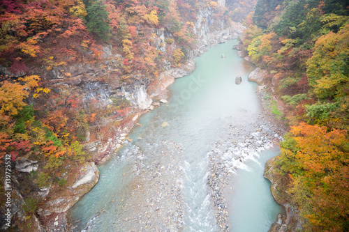 Japanese canyon in autumn photo