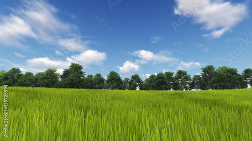 Panoramic Green Grass with cloud and the blue sky. 3d render