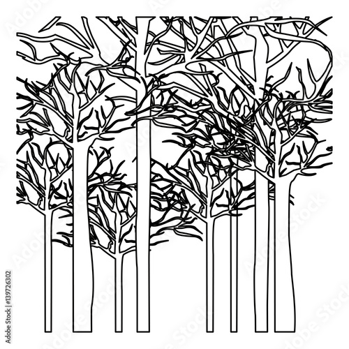 figure trees without leaves icon, vector illustraction design image photo