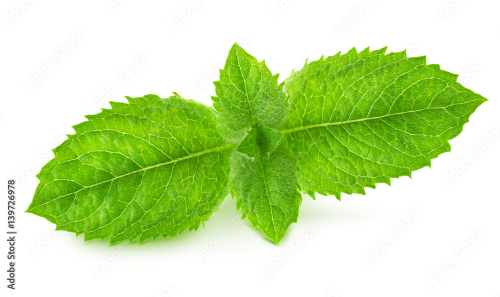 Fresh raw mint leaves isolated Fresh raw mint leaves isolated