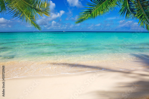 Caribbean sea and palm leaves.