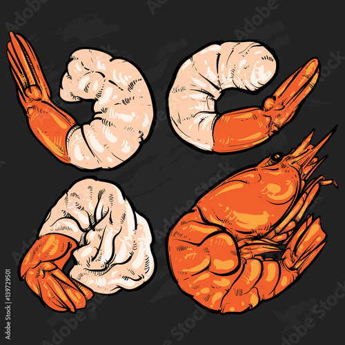 Shrimp cocktail drawing on a black background. seafood for a party or dinner. Hand drawn seafood illustration. Prawn.