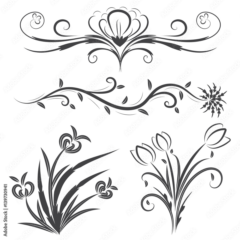 vector illustration set of floral calligraphic and dividers decorative vector illustration set of floral calligraphic and dividers decorative