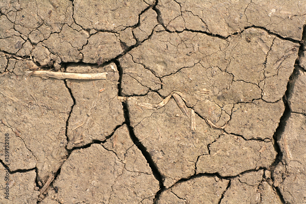 Fototapeta premium cracked, dry earth 1