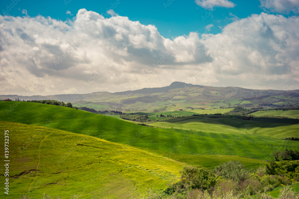 Green spring field. Tuscany, Italy