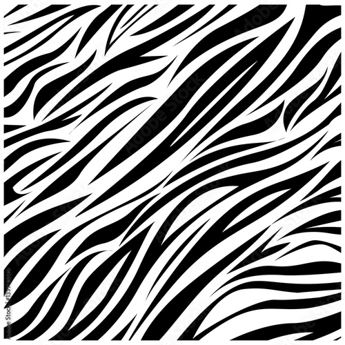 color zebra background icon, vector illustraction design image