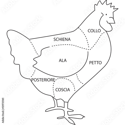 tagli pollo