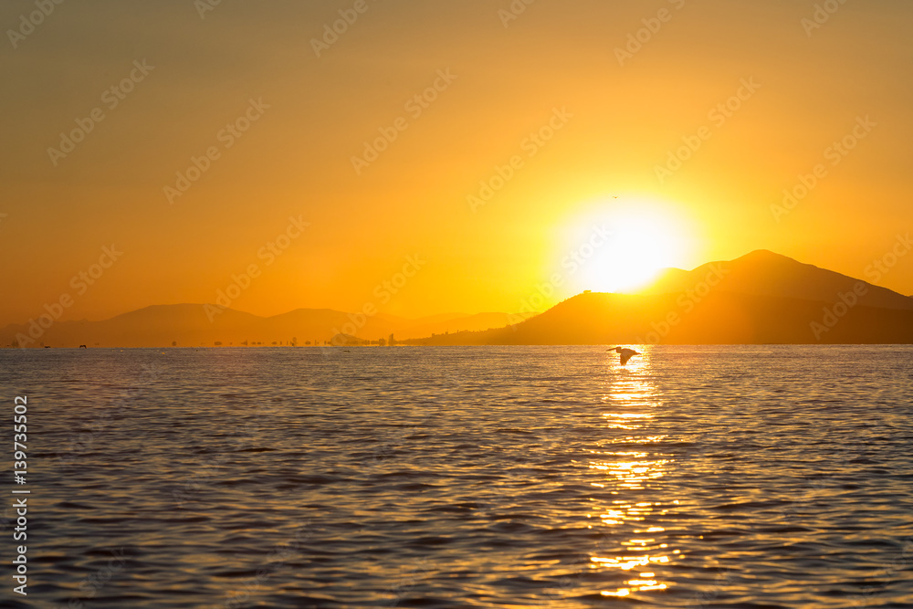 Lonely american white pelican flying into the sunrise with orange alluminated sky and mountains in the background