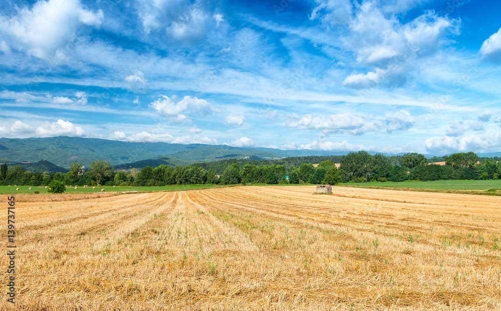 Tuscan countryside in summer season