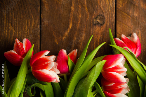 A bouquet of tulips on a tree. Beautiful tulips on wooden boards. Red-white tulips on wooden boards.
