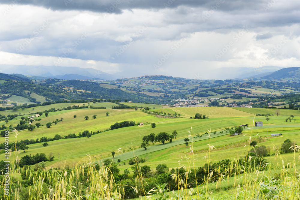 Fototapeta premium Typical landscape Marche