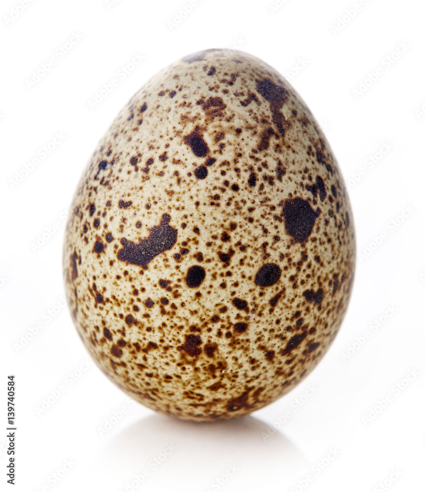 Quail egg isolated on white Quail egg isolated on white