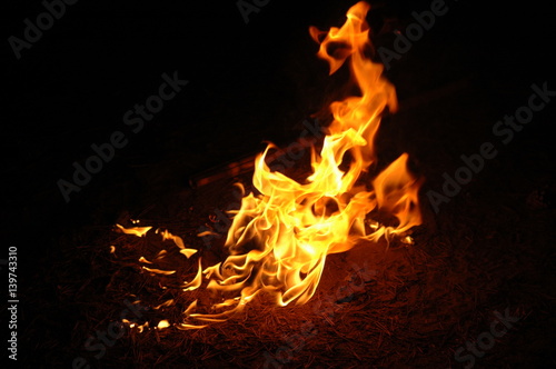 fire campfire on a dark background photo