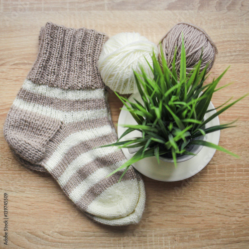 Green plant in the pot, beige and white yarn, Knitted striped beige-beige sock are on the table. Wooden background. Hobbies 