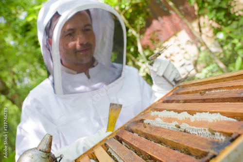 Smiling beekeeper at work