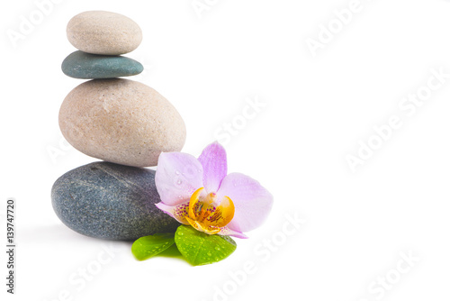 Stones and orchid flower on white background. SPA treatment with zen stones. SPA concept