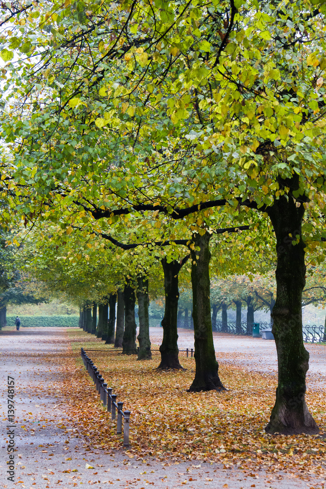 Naklejka premium München - Hofgarten