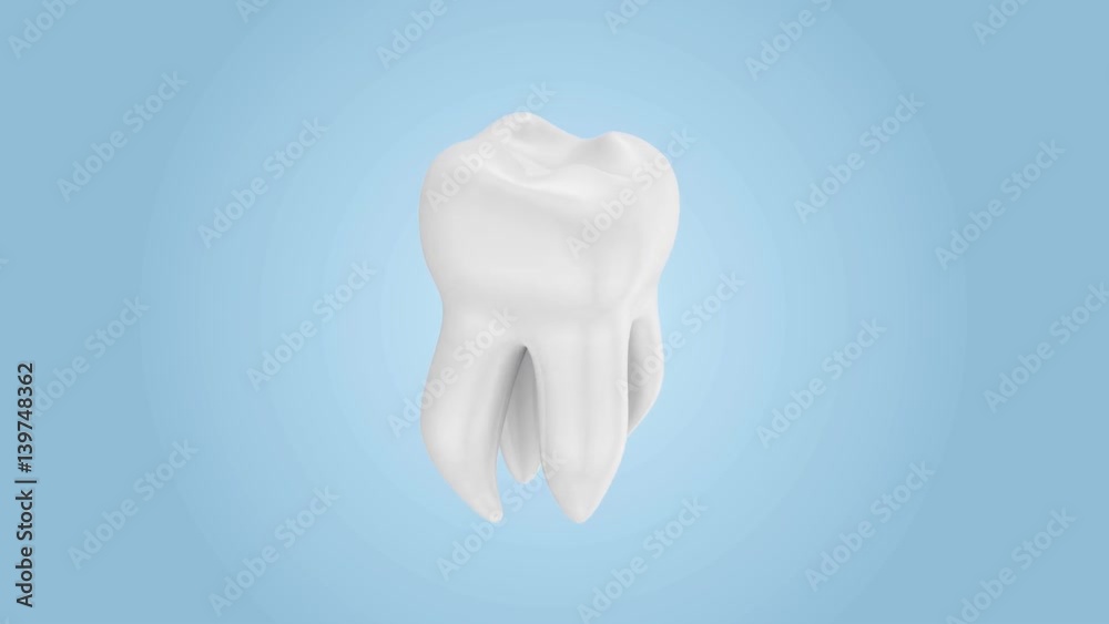 Animation of Tooth Rotation. Seamless Looping. Alpha Matte is Including Animation of Tooth Rotation. Seamless Looping. Alpha Matte is Including