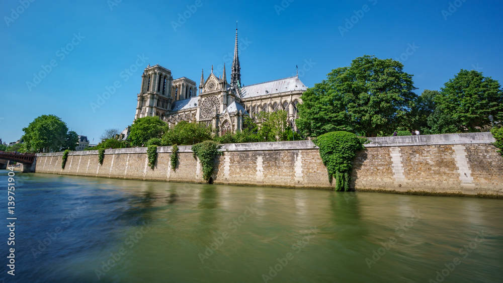 Notre dame and sena river, rear view