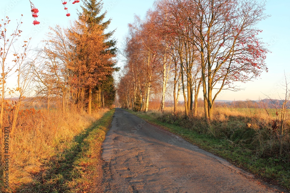 View of the landscape at sunset