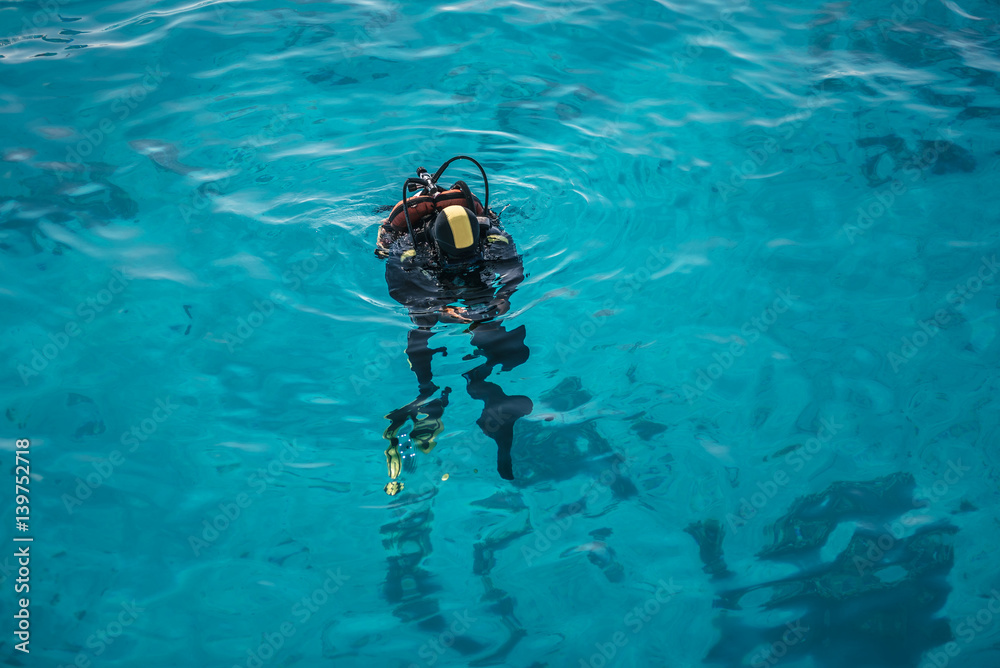 Diver in the coral sea with clear water looking into the water. Scuba diving activity
