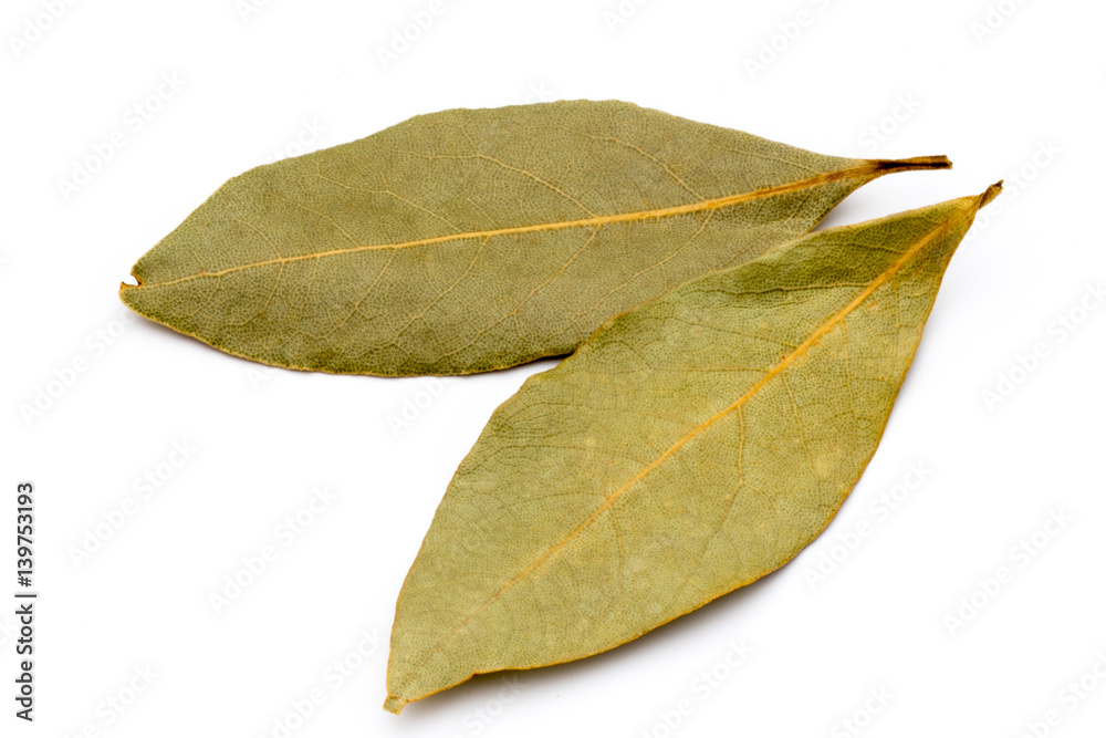 Aromatic bay leaves on white background. Aromatic bay leaves on white background.
