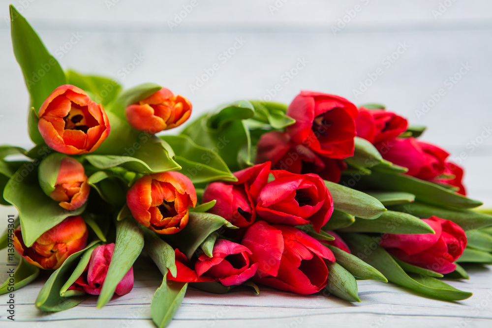Tulips Tulips