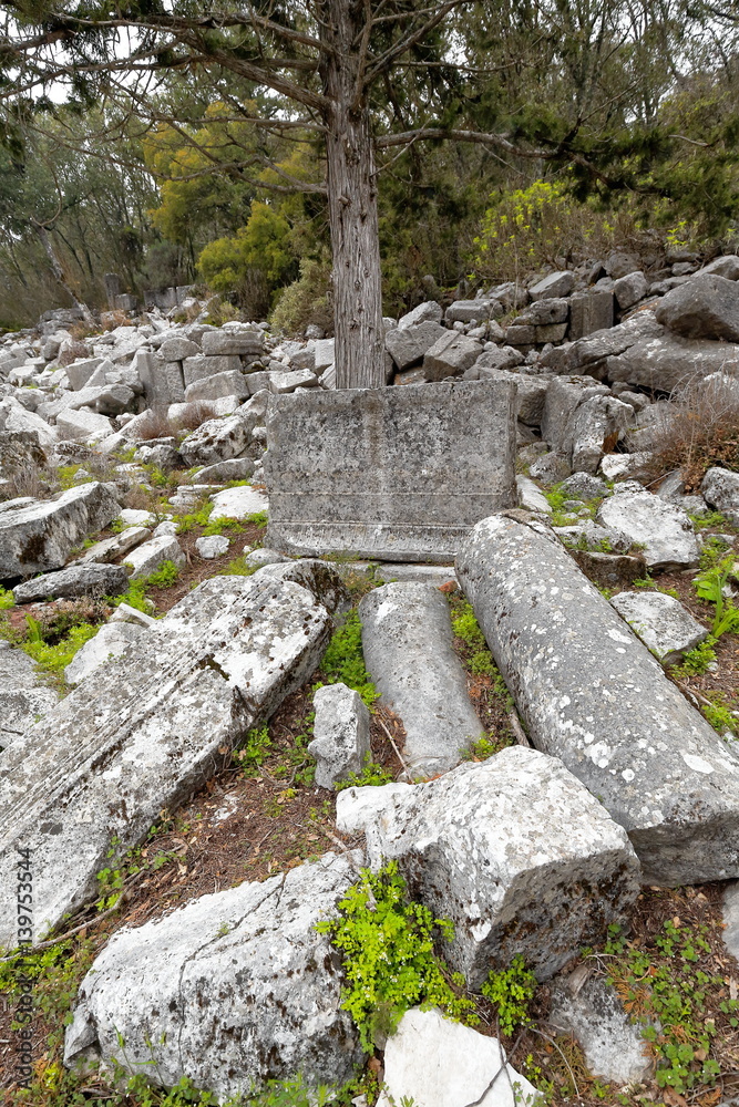 Ruins in the gymnasium and the baths complex. Termessos-Turkey. 1911 Ruins in the gymnasium and the baths complex. Termessos-Turkey. 1911