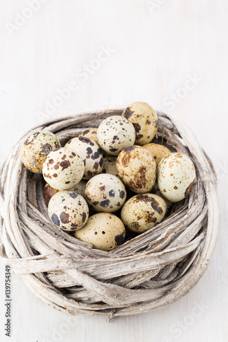 Quail eggs of birds nest. Easter composition.