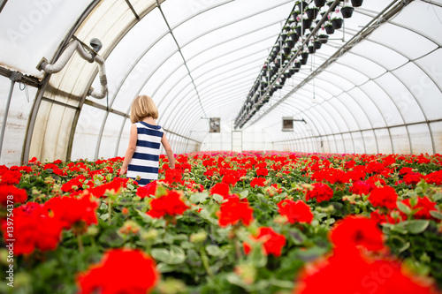 Girl in greenhouse of geraniums photo