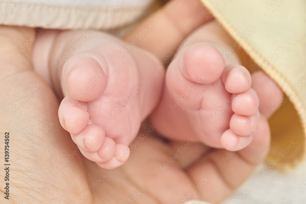 Parent holding in the hand feet of newborn baby Parent holding in the hand feet of newborn baby