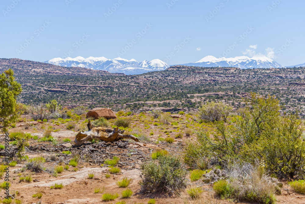 Fototapeta premium Looking Across the Utah Desert at Snow Capped Mountains.