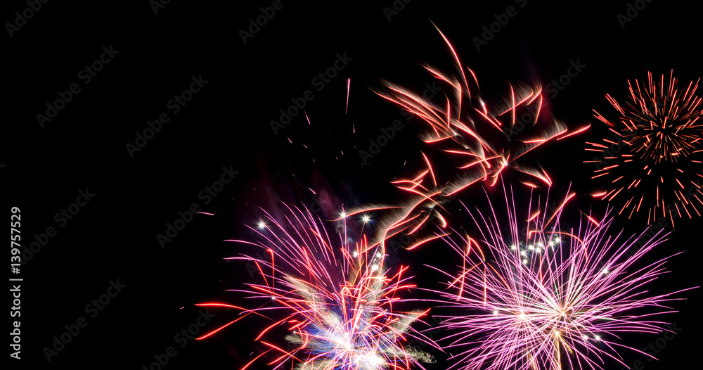 red and fuchsia fireworks with copy space red and fuchsia fireworks with copy space