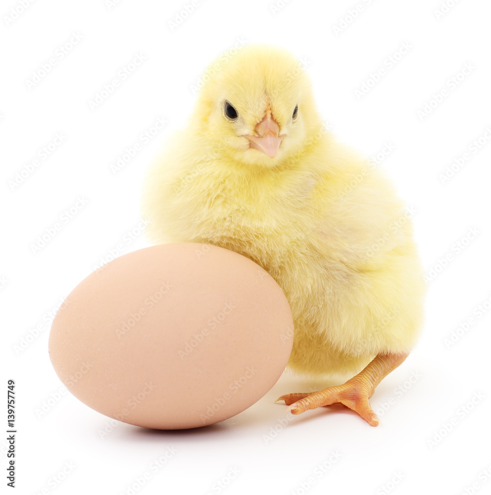 Chicken and egg. Chicken and egg.
