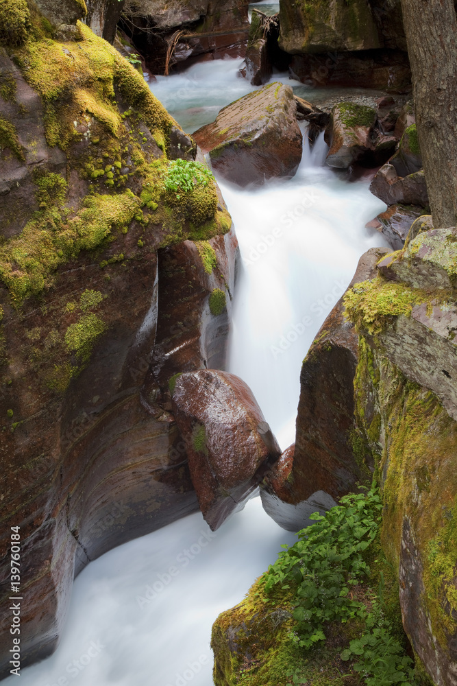 avalanche-creek-glacier-national-park-montana-stock-foto-adobe-stock