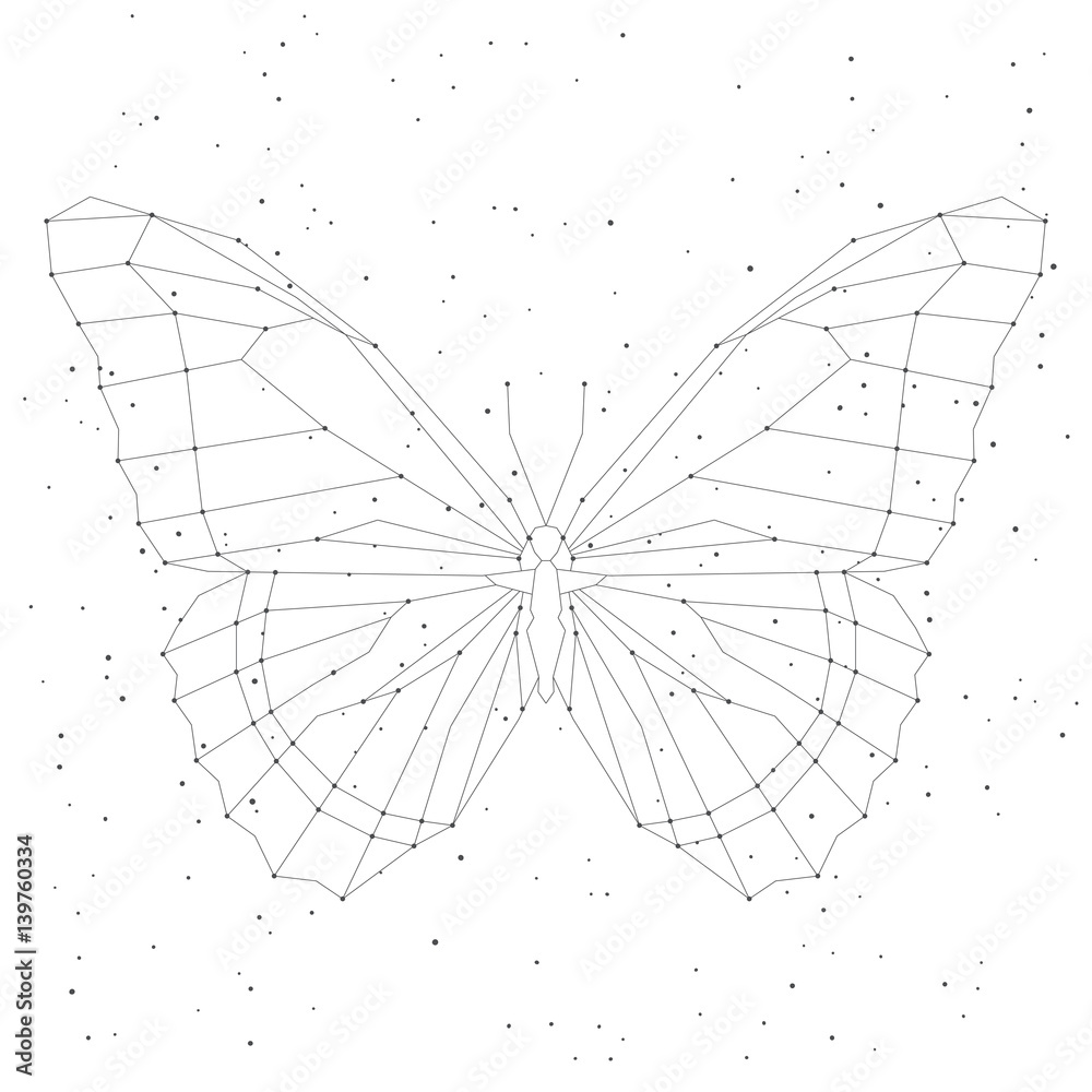 Geometric linear butterfly, constellation. Vector illustration