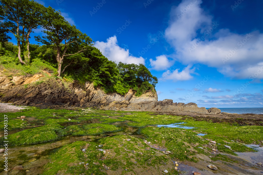 A colorful view of the north coast of Devon. Combe Martin Bay. Morning low tide. England