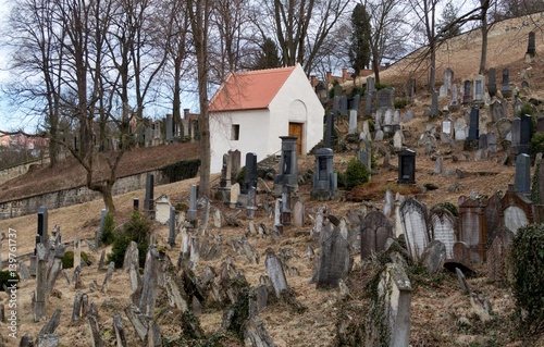 Jewish cemetery in Boskovice photo