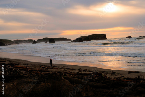 Bandon beachcomber