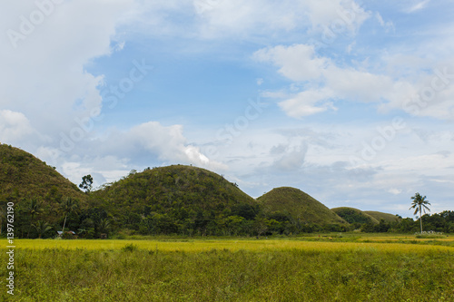 chocolate hills,tagbilaran photo