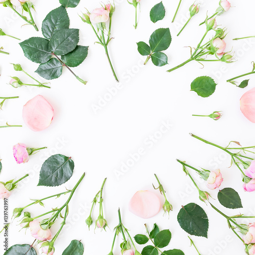 Round frame with pink roses, petals, leaves isolated on white background. Flat lay, top view. Floral background. 