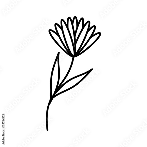 cute flower carden isolated icon vector illustration design