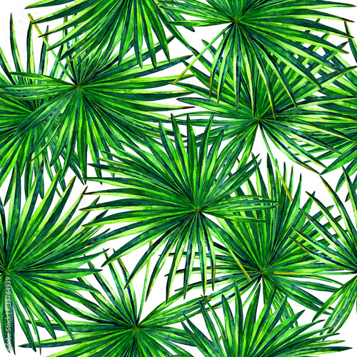 Seamless floral pattern with beautiful watercolor fan palm leaves. Jungle foliage on white background. Textile design.