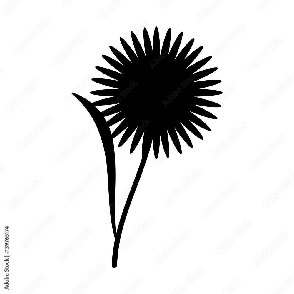 cute flower carden isolated icon vector illustration design