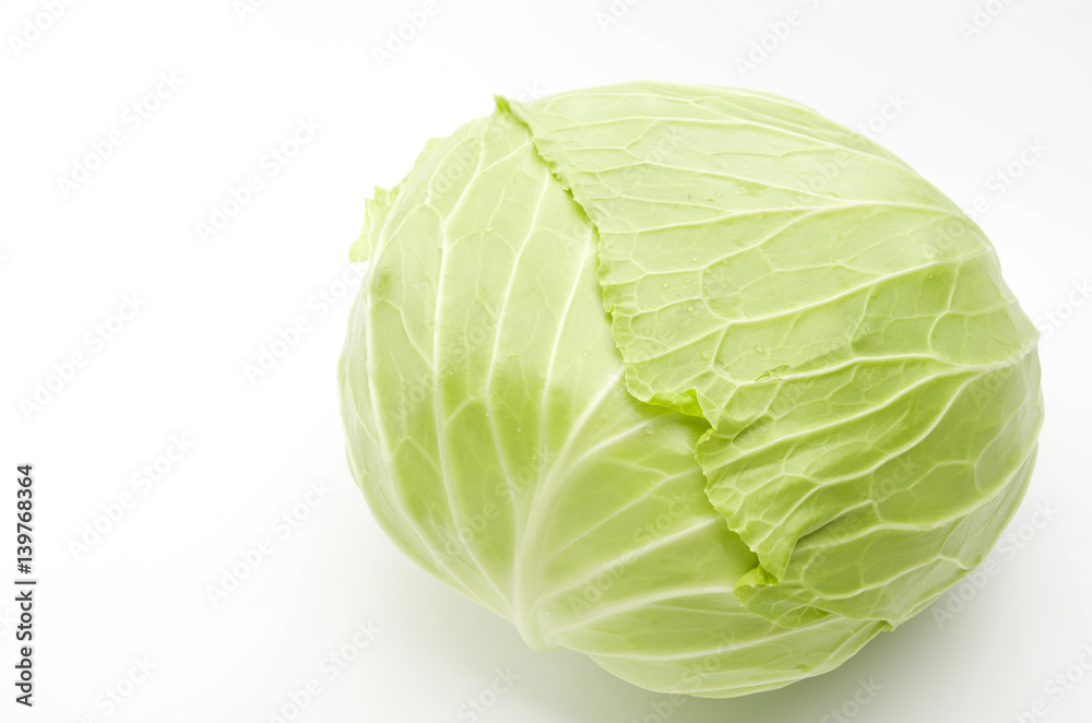 キャベツ キャベツ